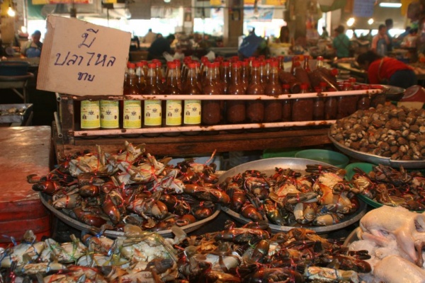 �������, ������ �����, ������ 2007 �.