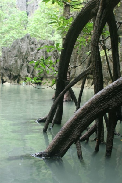 �������, ��������� �������