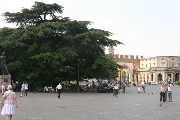 ������, ������, ���� 2007 �.