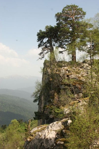 ������, ����-����