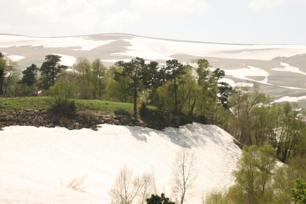 ������, ��� 2007 �