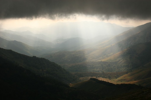 �������, �. �������, �������� 2007 �.