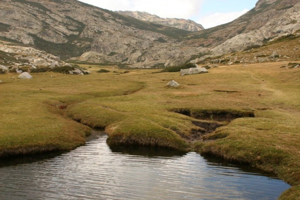 �������, �. �������, �������� 2007 �.