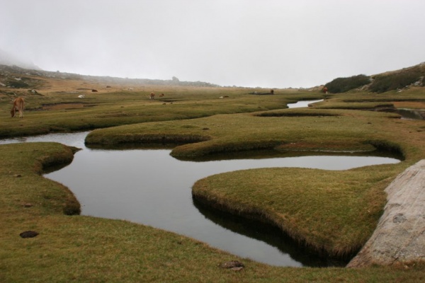 �������, �. �������, �������� 2007 �.