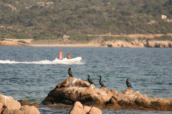 �������, �. �������, �������� 2007 �.