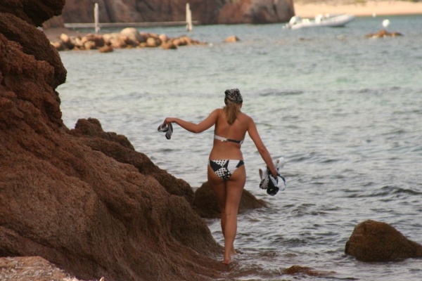 �������, �. �������, �������� 2007 �.