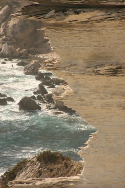 �������, �. �������, �������� 2007 �.