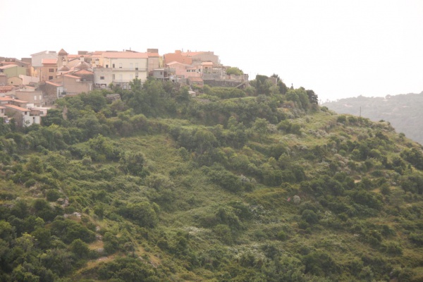 ����� ���������