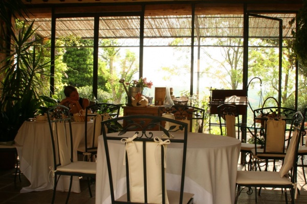 Morning in the breafast room